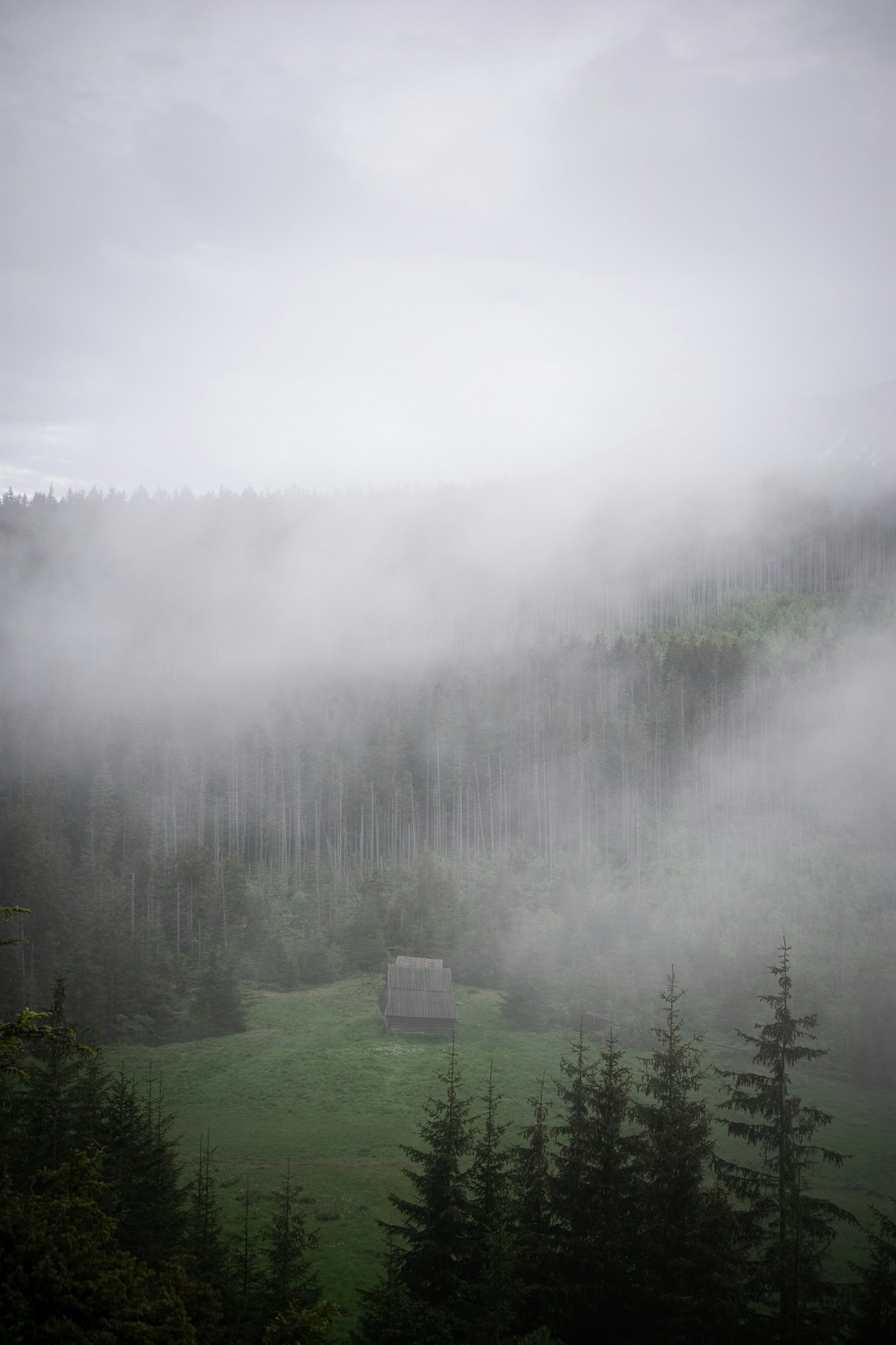 Planifier votre escapade bien-être au Québec